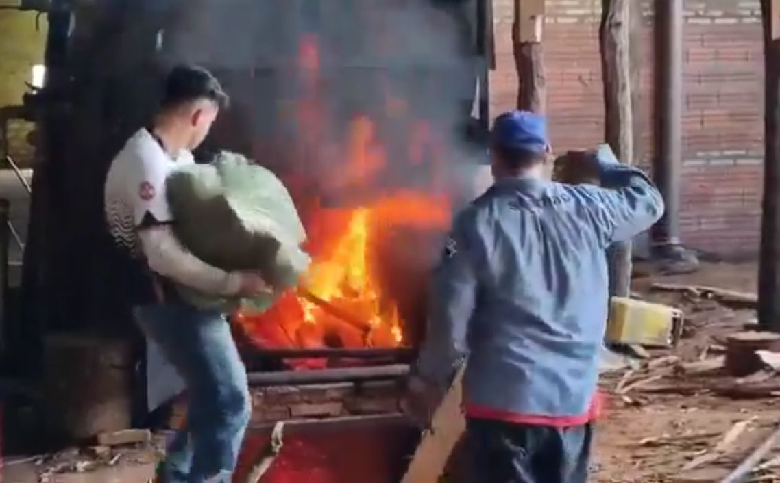 Incineran más de 5 toneladas de marihuana en Coronel Oviedo