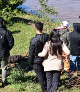 Hallan un te’ongue debajo de un puente en Itapúa