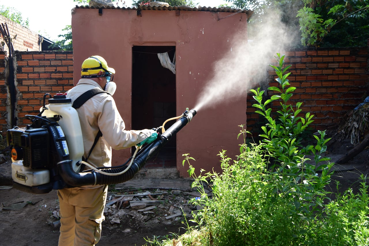 Paraguay mantiene su estatus de país libre de malaria