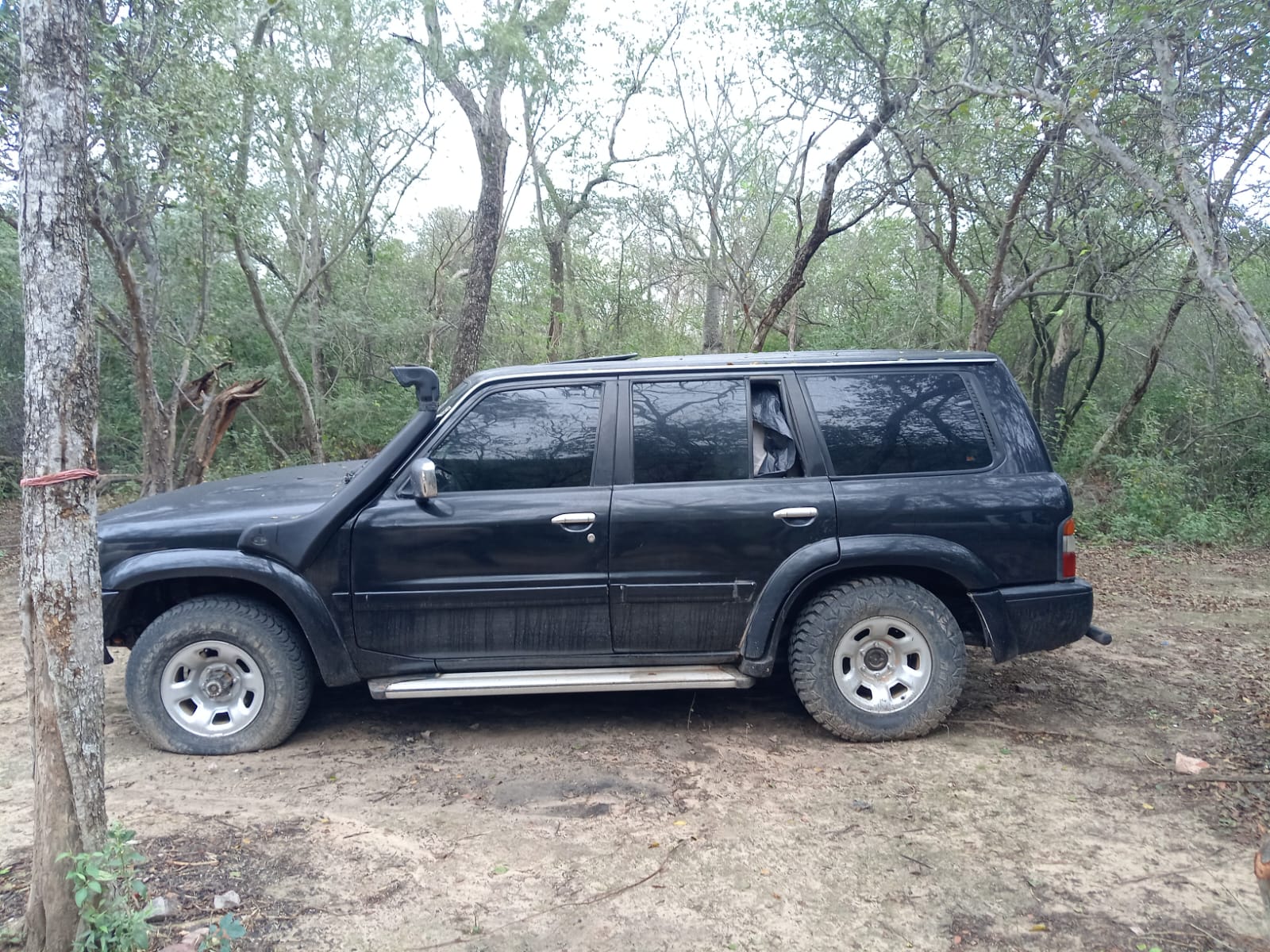 Encuentran camio de ciudadano argentino desaparecido en Parque Nacional Cerro León