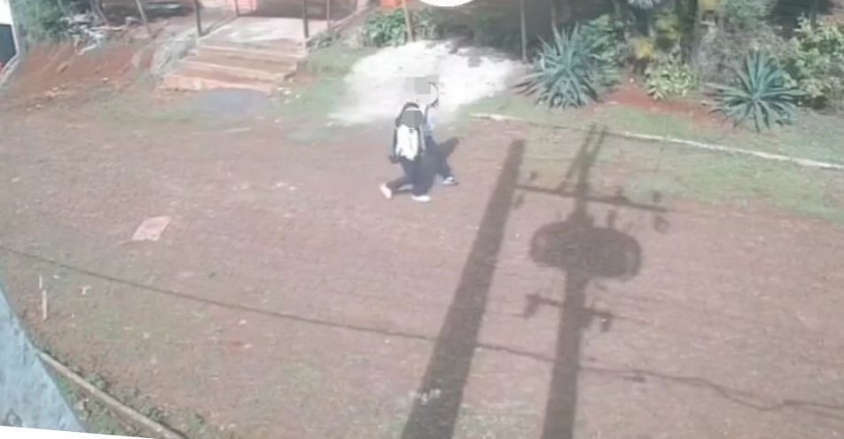 Dos niñas fueron entradas tras ser llevadas a la fuerza en una furgoneta ndaje
