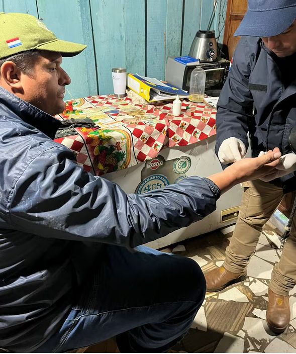 Imputan a la concubina del carnicero asesinado