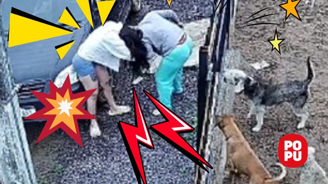 (VIDEO) Denuncia a modelo animalera: “Me agredió estando embarazada”