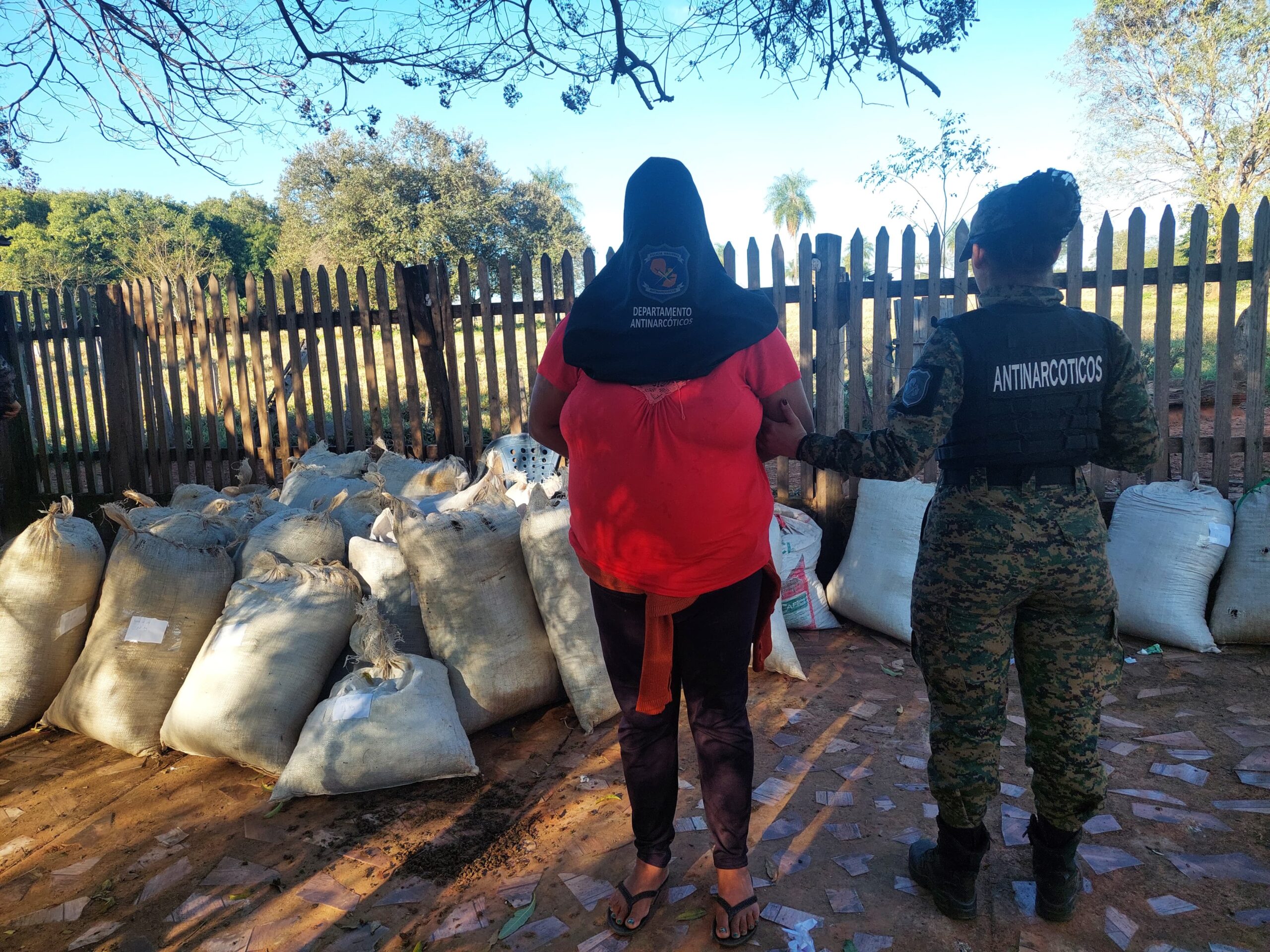 Allanan una vivienda, incautan 300 kilos de la hierba maldita y detienen a una cuarentona