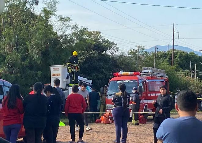 Joven muere electrocutado tras podar un añejado árbol