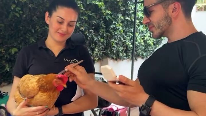 (VIDEO) Otro día sin ser Hortensia: ¡La gallina de Laurys Dyva tiene su propio maquillador!