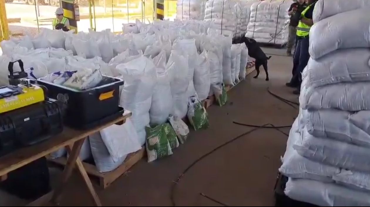 Encuentran varios kilos del “purete” en cargamento de porotos