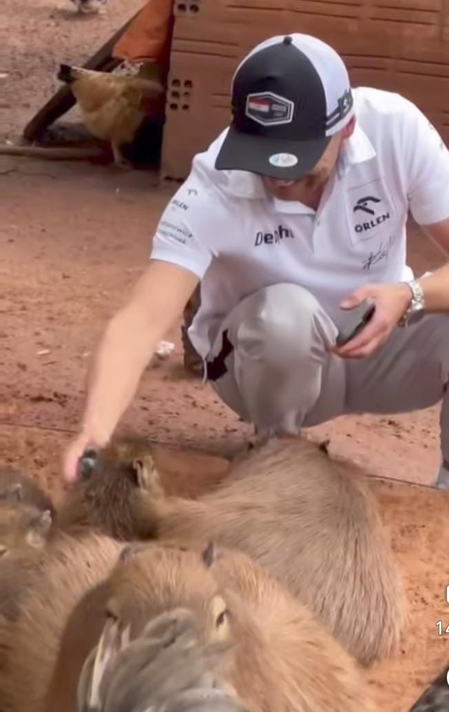 (VIDEO)Piloto de rally compartió con capibaras antes de dejar Paraguay