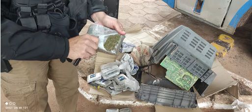 Hallan macoña tipo skunk oculta en un viejo televisor