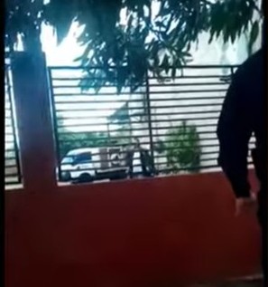 Lio familiar opa tiropúpe