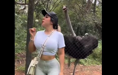 ¡El divertido momento de Ainara con un avestruz!