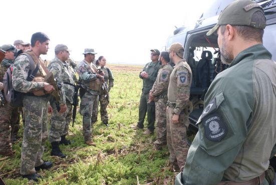 Nueva Alianza: Paraguay y Brasil lanzan ofensiva contra la producción de marihuana en la frontera
