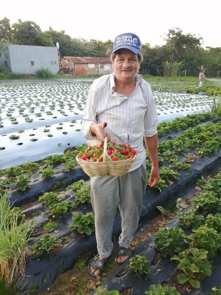 Fiscalía busca a un adulto mayor desaparecido