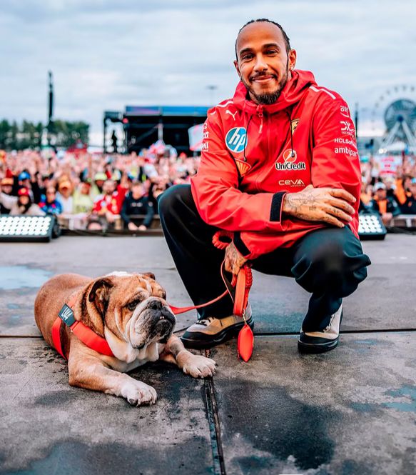 La desgarradora despedida de Lewis Hamilton a su perro Roscoe