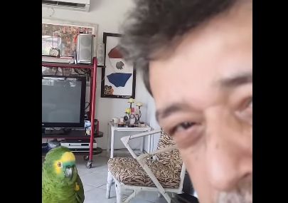 ¡Lorito óga imita voz de locutor del “Pionero”!