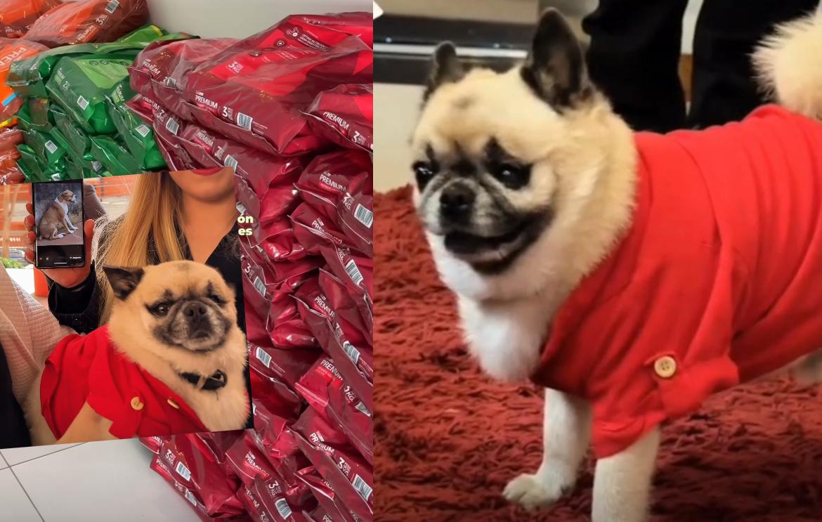 “Rocco” repartió donaciones por el mes de los animales 