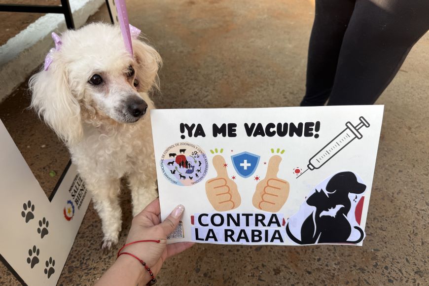 Unos 300 firus y michis fueron atendidos en San Lorenzo