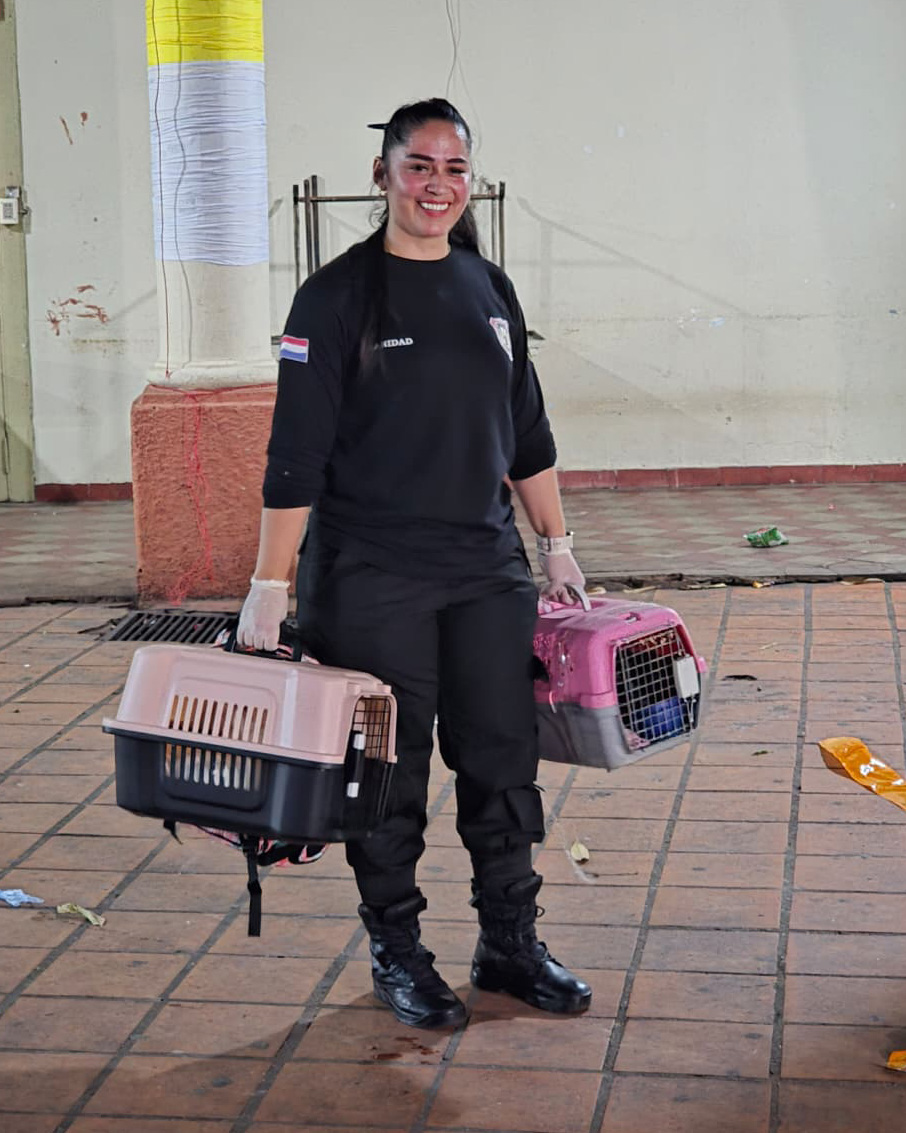 Tras la protesta de animaleros confirman que michis avei fueron trasladados del Buen Pastor