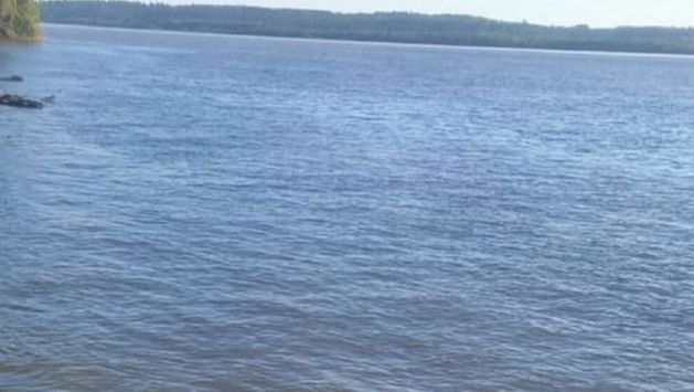 Macabro: Flota un te’ongue en el río Paraná