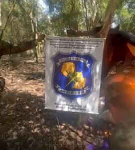 Antinarcóticos arrasa con marihuana ty