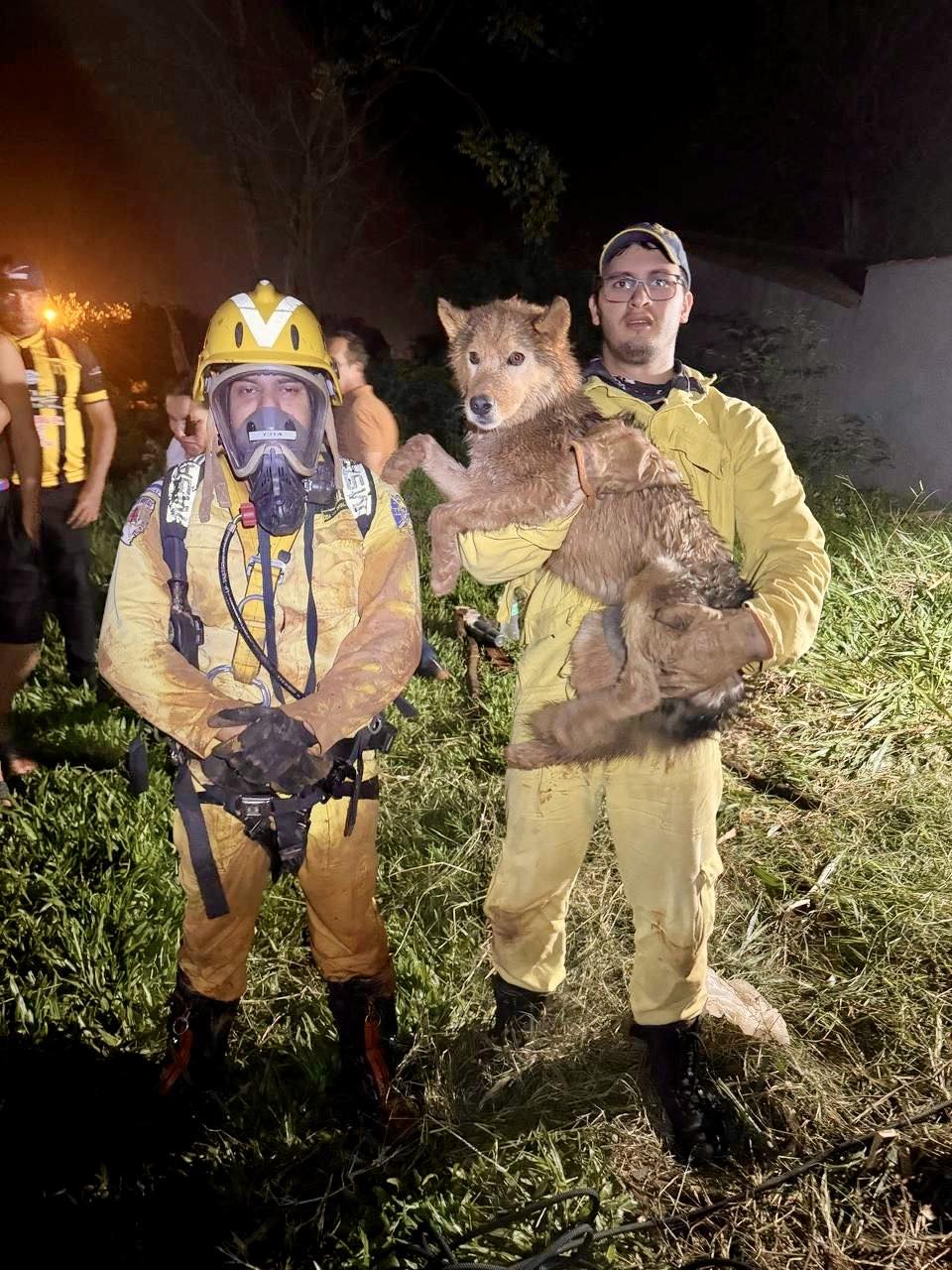 Milagro peludo: “Pompi” pasó 4 días en el fondo de un pozo y rescatado con vida