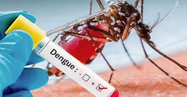 Salud iniciará en noviembre vacunación contra el dengue
