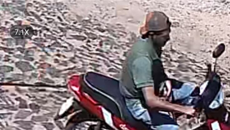 (VIDEO). Fiscalía busca a un arriero infeliz que disparó a un firulais