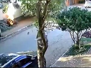 Arriero infeliz le prendió fuego a tres gatos en la calle
