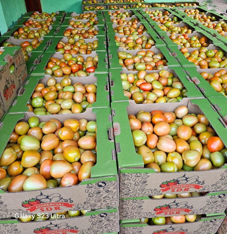 Ohoma tomate paraguayo a kurepilandia: “Si al campo le va bien, al país le va bien”