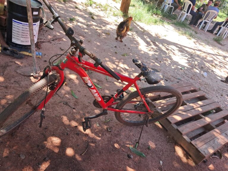 Niña de 12 años falleció tras caer de su bici
