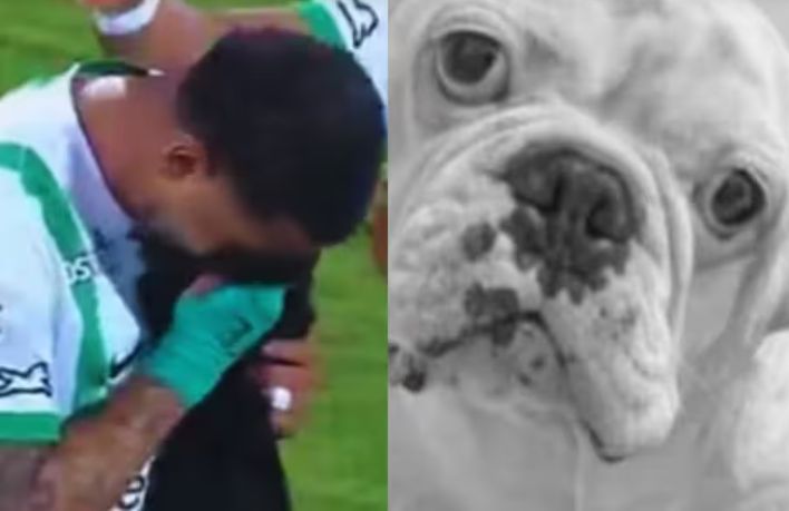 Jugador lloró a mares al dedicar su gol a su firulais que murió unos días antes