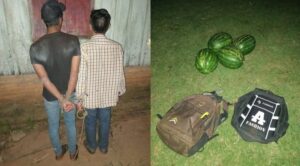 ¡Ndera! Fueron apresados robando sandias