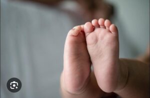 Vicente Vega: “No hubo secuestro ni desaparición de bebé”