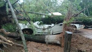 Feroz yvyramáta aplató patrullera de policía