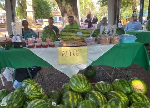 Oĩma la sandía más grande y más rica en Cordillera