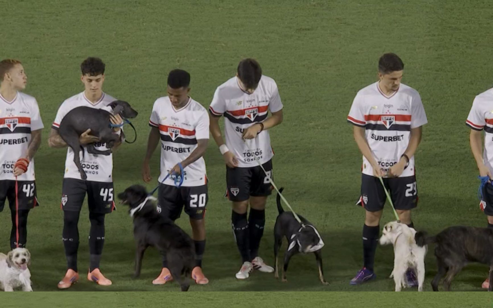 Damián Bobadilla umía salieron a la cancha acompañados de perritos