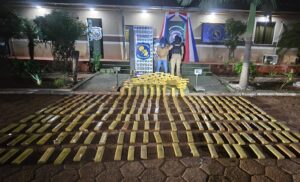 Incautan más de media tonelada de macoña