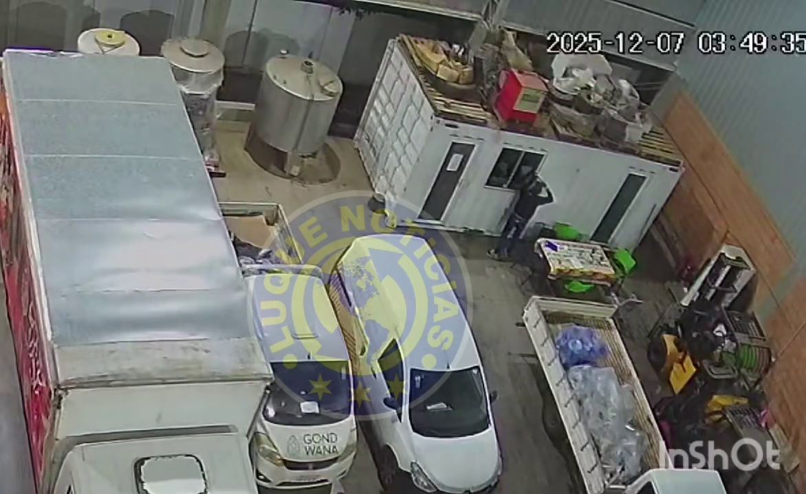 (VIDEO) ¡Solitario mondaha peló una empresa embotelladora!