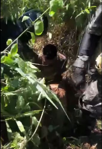 (VIDEO) Durante una persecución, detienen a asaltantes de despensa