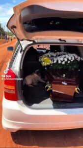 Jagua’i fiel acompañó a su dueño hasta su última morada