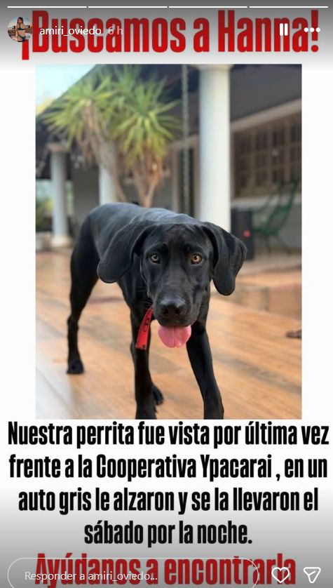 Les robaron su mascota a Wilder Viera y su prometida