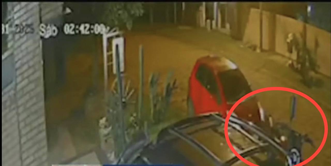 Nuevas evidencias: Confirmarían encubrimiento en caso Mafe