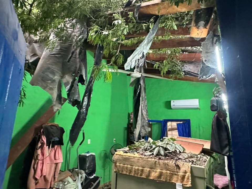 Feroz yvyramata cayó sobre una casa y doña se salvó de milagro