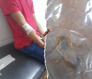 Karai’y fue picado por un alacrán en su jyva