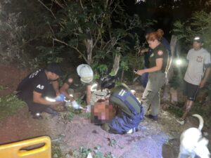 Chespi quedó herido tras pelea con otro en Villa Elisa