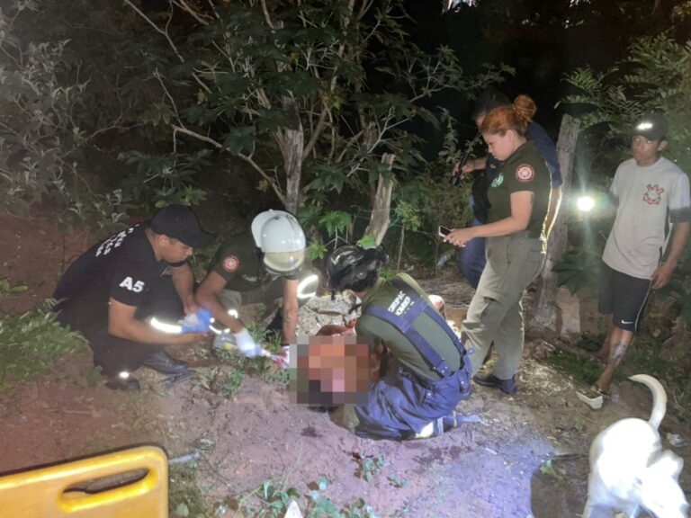 Chespi quedó herido tras pelea con otro en Villa Elisa