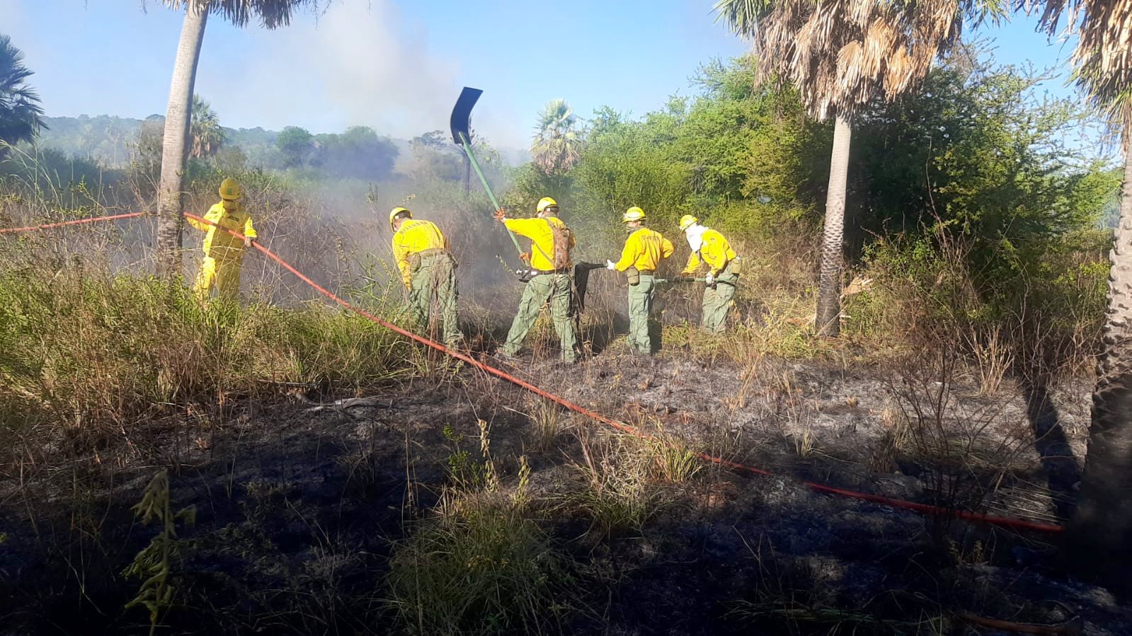 Incendio forestal en zona Luque – Sanber ya fue controlado