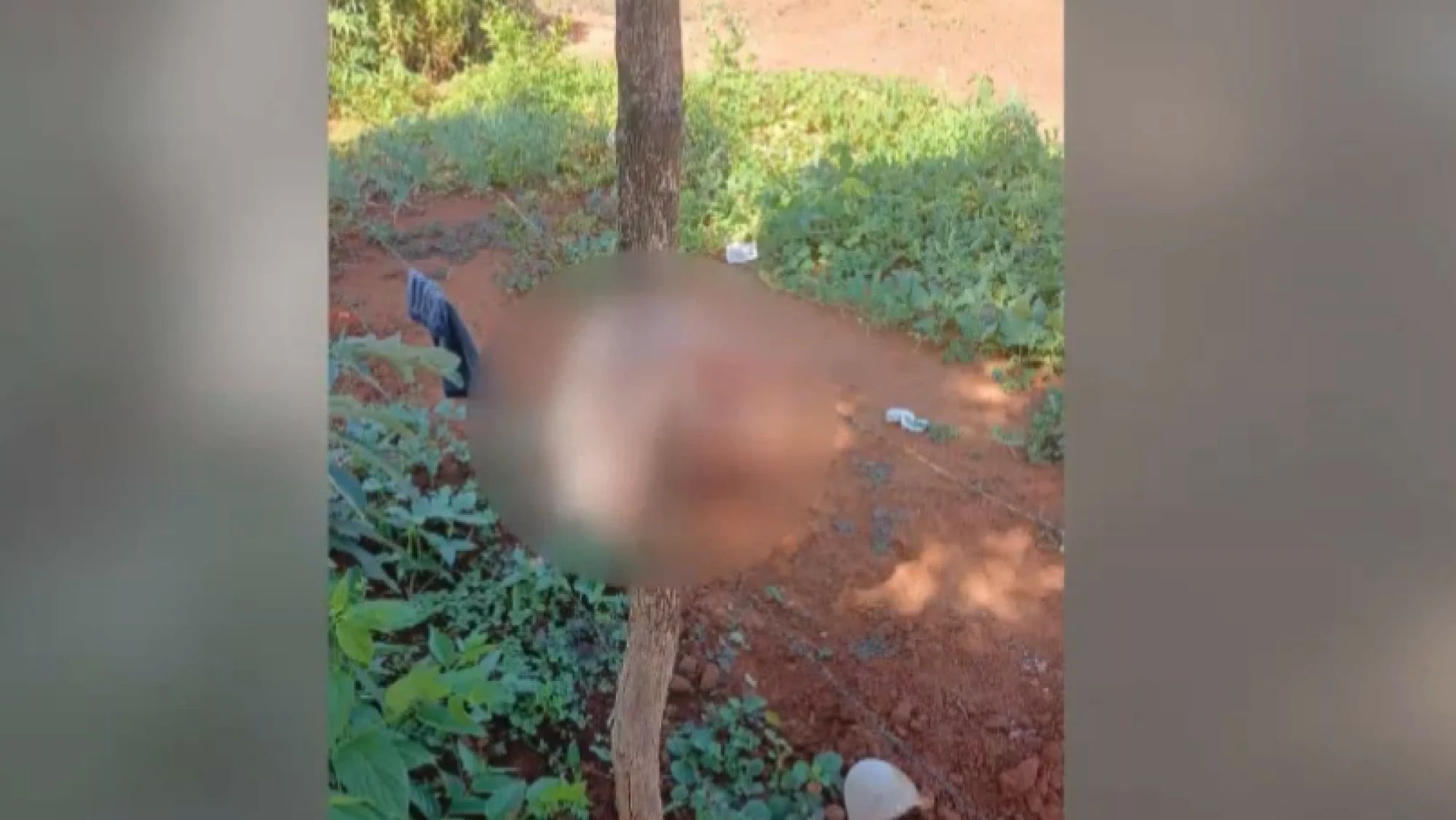 Caso muerte de recién nacida: Imputan a péndex y a su madre