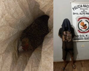 Ryguasu se salvó del caldo: Los vecinos capturaron a “ladrón de gallinas”