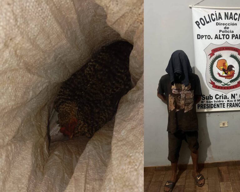 Ryguasu se salvó del caldo: Los vecinos capturaron a “ladrón de gallinas”